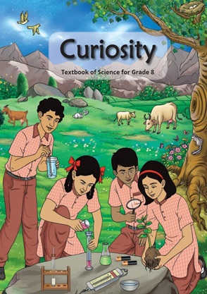 Class 8 Science Curiosity